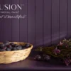 Velvet Plum - Image 5